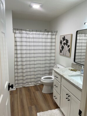 Een badkamer met een gestreept douchegordijn, een toilet, een wastafel met een marmeren aanrechtblad en een lijstwerk met een kunstwerk aan de muur.