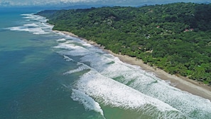 A coastal landscape with a beach, waves, and dense greenery.