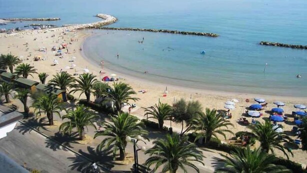 Una playa con palmeras, sombrillas y una costa curva.