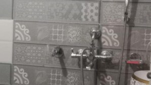 Een badkamer met een douche, toilet en decoratieve wand met een muurschildering van een dolfijn.