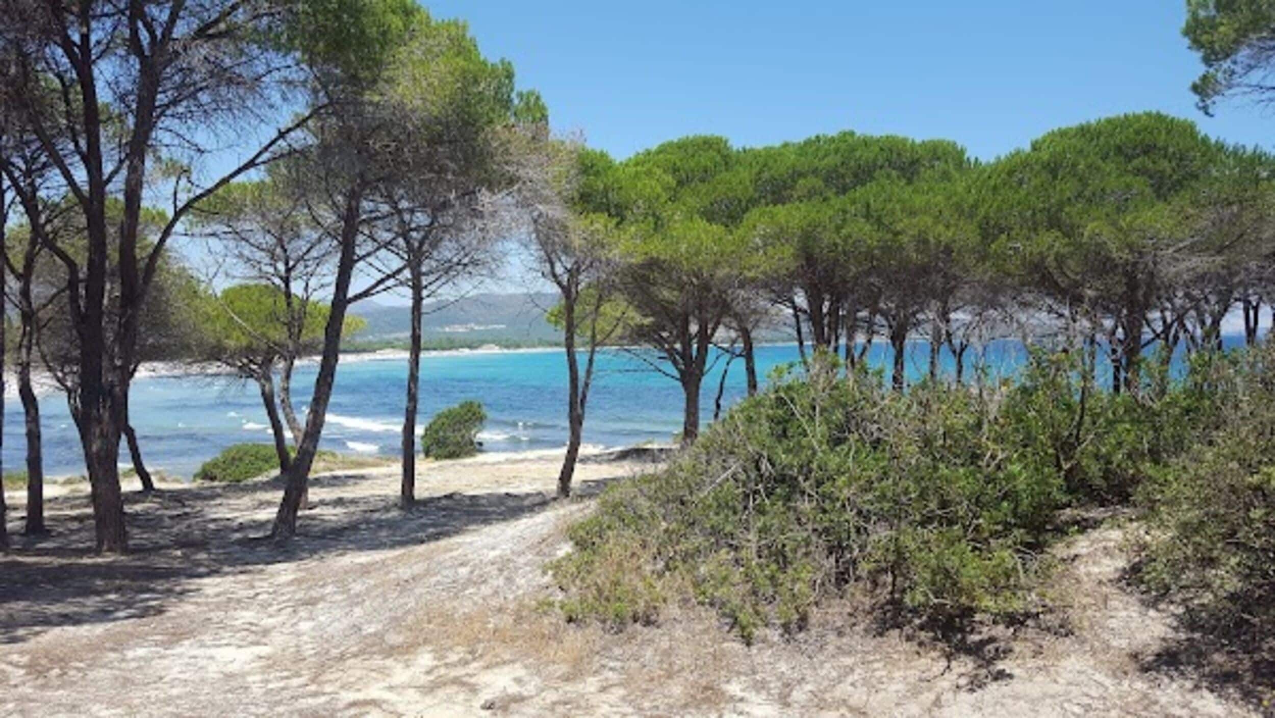 Apartment, 2 Bedrooms, Patio | Beach