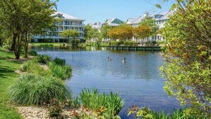 A serene lake with ducks, surrounded by lush greenery and a row of buildings with a modern architectural style. - Sunset Island-Fountain Drive 39-3F-Bayside 67th St, Free WiFi, Pool, Elev, W/D, AC (Ocean City)