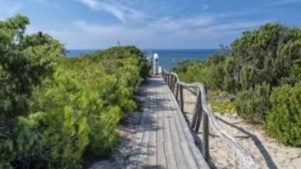 Une promenade en bois mène à une plage bordée de chaque côté d’une végétation luxuriante.