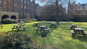 Een binnenplaats met picknicktafels, een grote boom en historische gebouwen op de achtergrond.