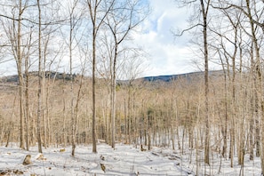 A forest with snow-covered ground and trees.