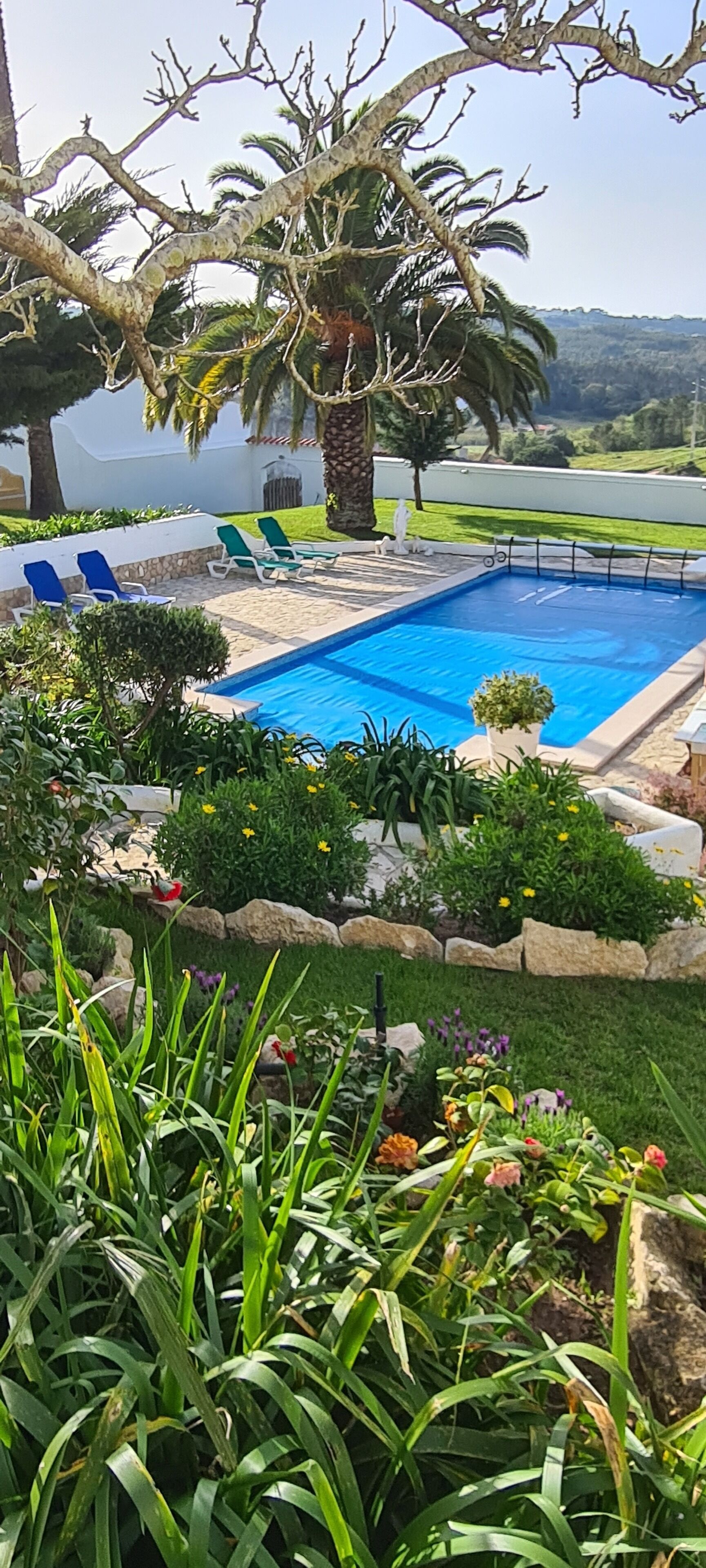 Photo - Casa das Margaridas