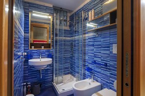 Shower, hair dryer, bidet, towels