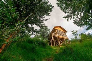 Exterior - The Divine Mountain House (Firavitoba)