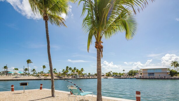 A waterfront promenade with palm trees, a beach chair, and a building in the background. - JUDY'S PLACE ~ 2 Bedroom, 1 Bathroom in Venture Out Community! (Cudjoe Key)