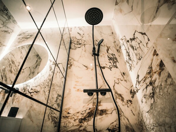 Shower, hair dryer, towels