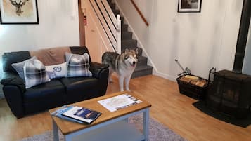 Smart TV, DVD player