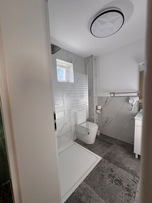 Estudio clásico | Baño | Ducha, secador de pelo, toallas y jabón