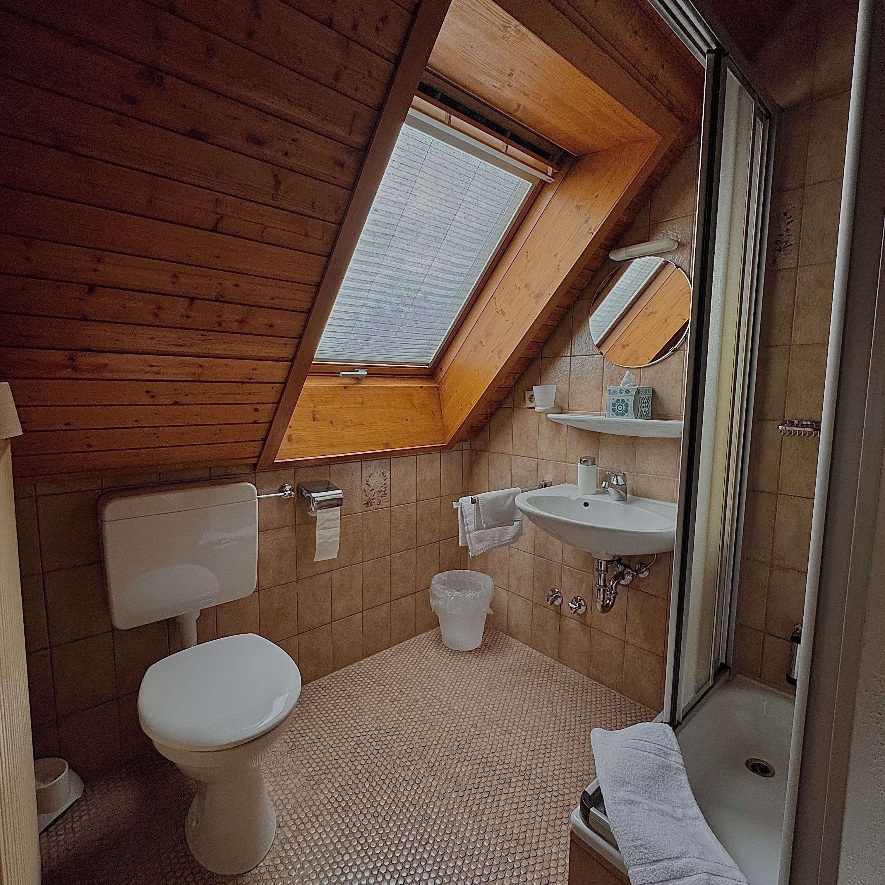 A small, compact bathroom with a skylight, a toilet, a sink, and a shower.