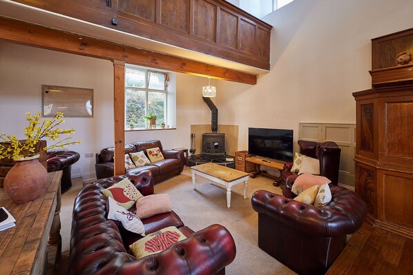 Televisio, takka, kirjoja, työhuone