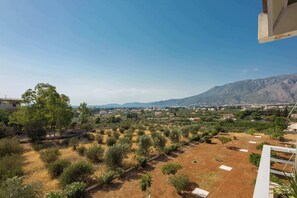 A view of a residential area with a clear sky, distant mountains, and a mix of greenery and dry land.