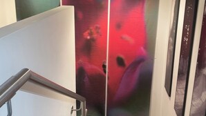 A staircase with a white door, a red and black wall mural, and two framed pictures on the wall.