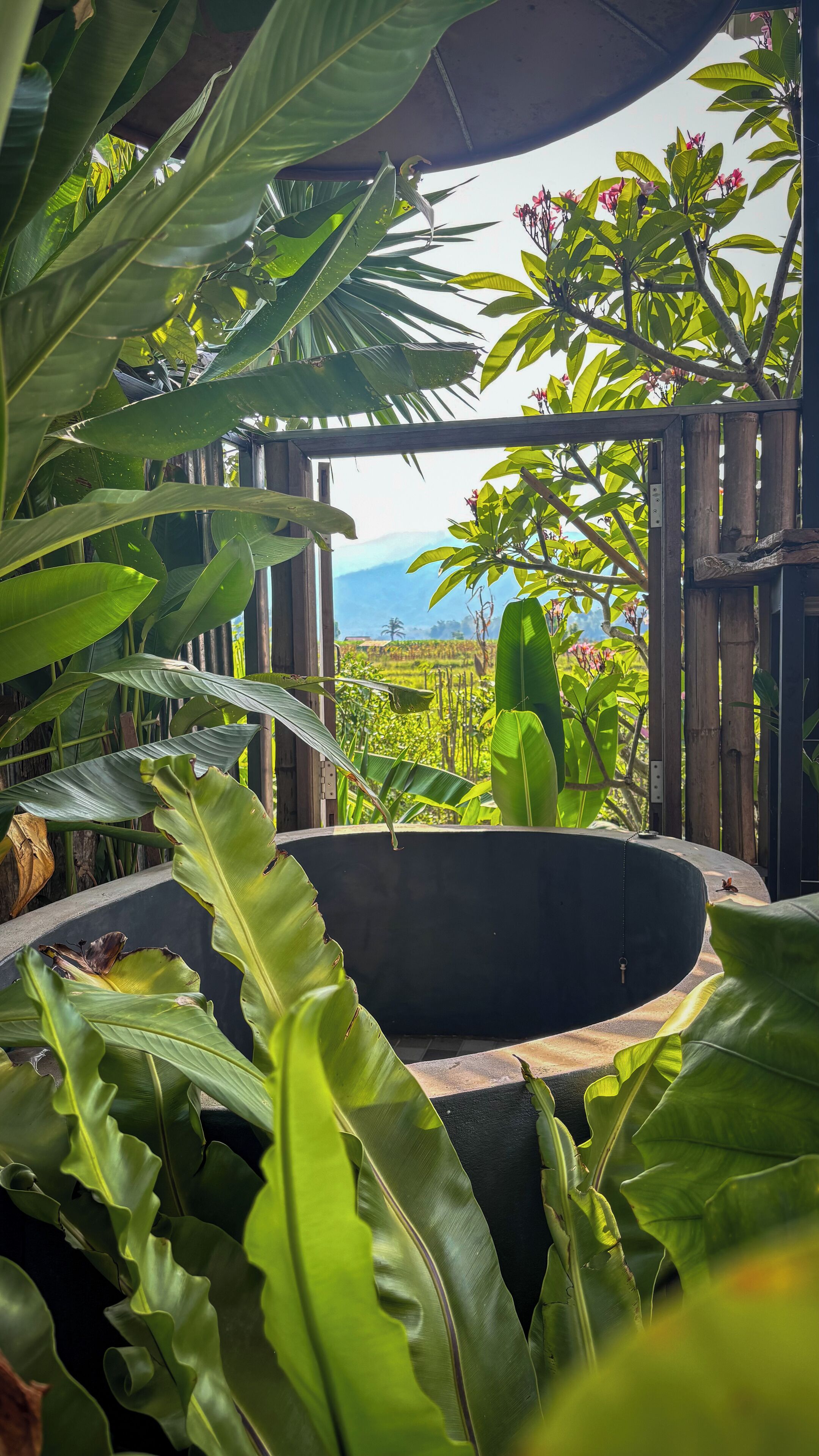 Giardino tropicale con un’ampia vasca d’acqua e vista su un paesaggio rigoglioso.