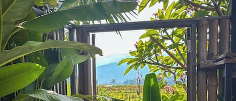 Giardino tropicale con un’ampia vasca d’acqua e vista su un paesaggio rigoglioso.