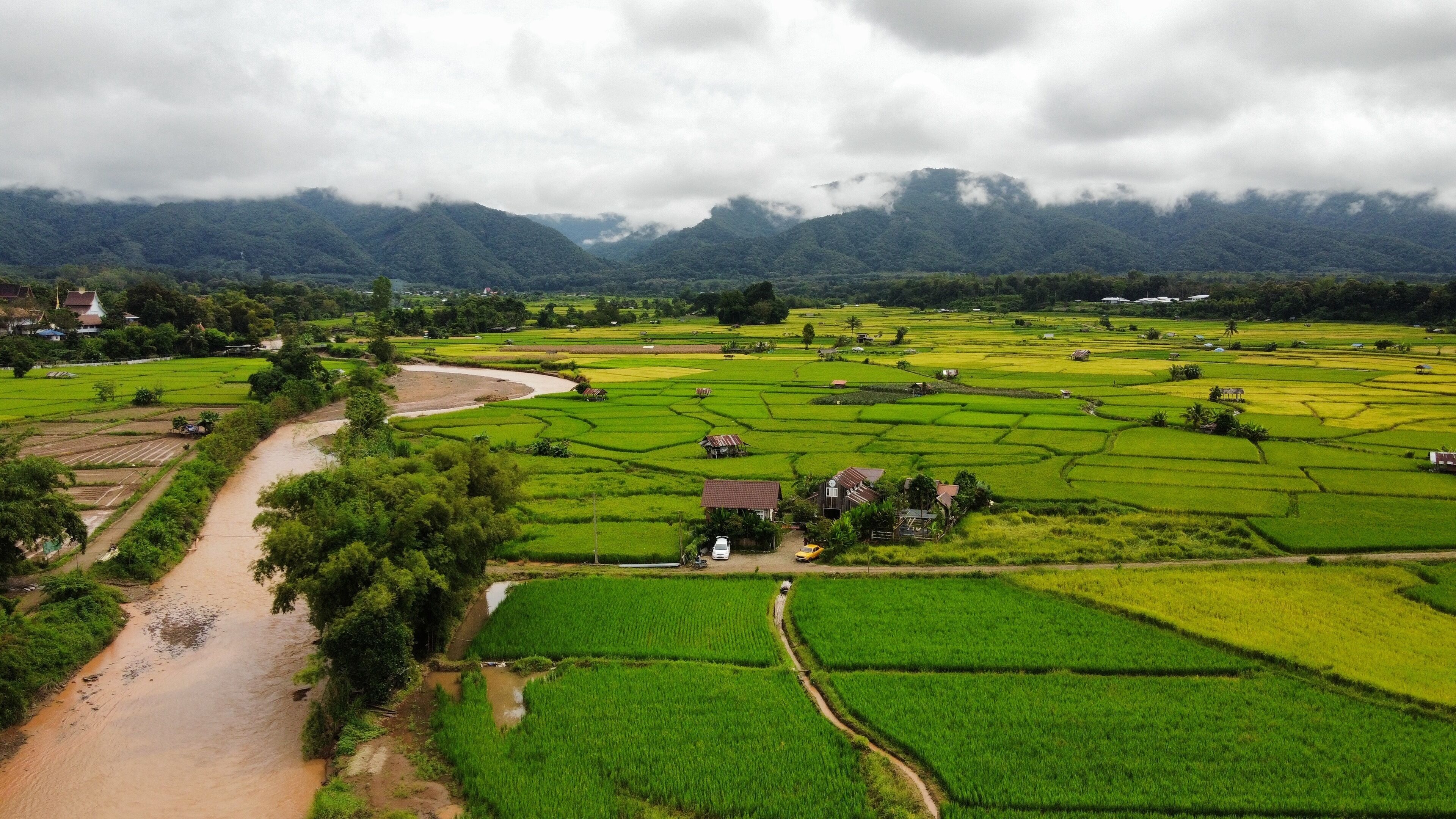 Paisaje rural con campos de arroz en terrazas, un camino de tierra sinuoso y algunas casas dispersas.
