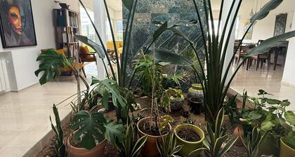 Villa Shaghaf Passion Mornag