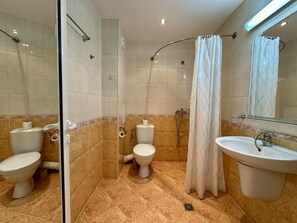 Shower, towels, toilet paper