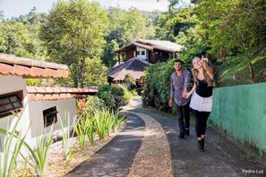 Taman