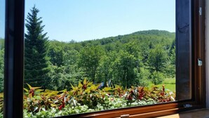 A view through a window with a forest and hills in the background. - Lake House Plitvice (Plitvicka Jezera)