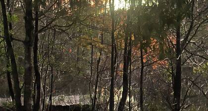 Camp/sleep van laundry Clean restrooms Nature WiFi central Fl. You will love it