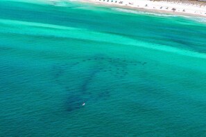 Una playa cerca