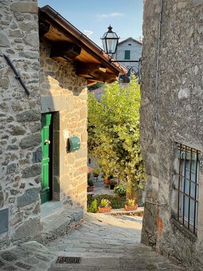 Property grounds - Beautiful family villa with private pool and wonderful mountain views near Barga (Sommocolonia)