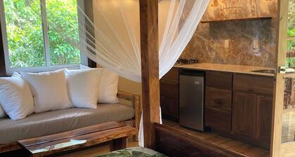 Tranquil Waterfall Studio, Oceanfront with Jungle Hiking and Starlink