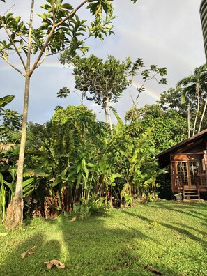 Property grounds - Tranquil Waterfall Studio, Oceanfront with Jungle Hiking and Starlink (Bocas del Toro)