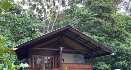 Tranquil Waterfall Studio, Oceanfront with Jungle Hiking and Starlink