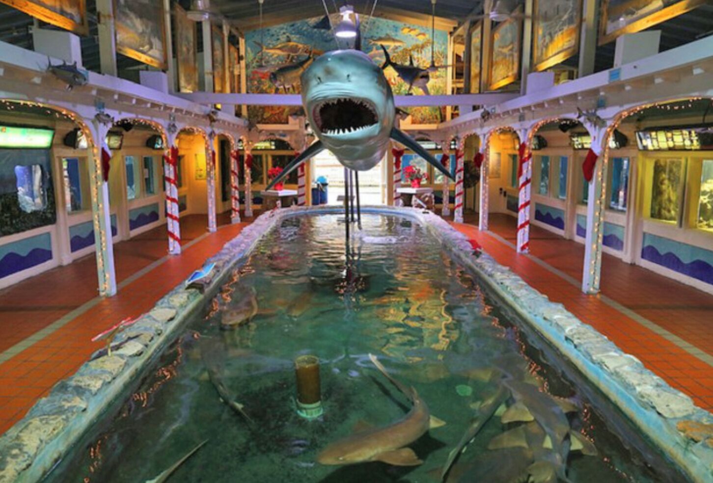 An aquarium with a large shark tank in the center, surrounded by colorful murals and red-striped columns.
