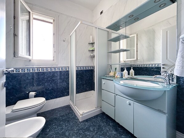 Shower, hair dryer, bidet, towels