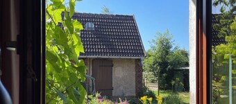 Historic house under lime trees with natural garden. Family-friendly.
