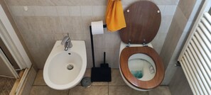 Shower, hair dryer, bidet, towels