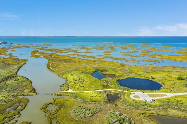 Aerial view - 2nd Row Gulf Views, 3 Decks, Beach Equipment/Toys, Steps from the Beach! (Galveston)