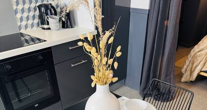 Le Cosy, apartment - Limoges.