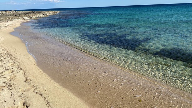 A beach with clear shallow waters and a sandy shore.