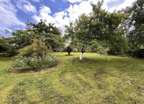 الإطلالة من المنشأة