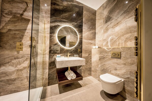 Hair dryer, soap, shampoo, toilet paper