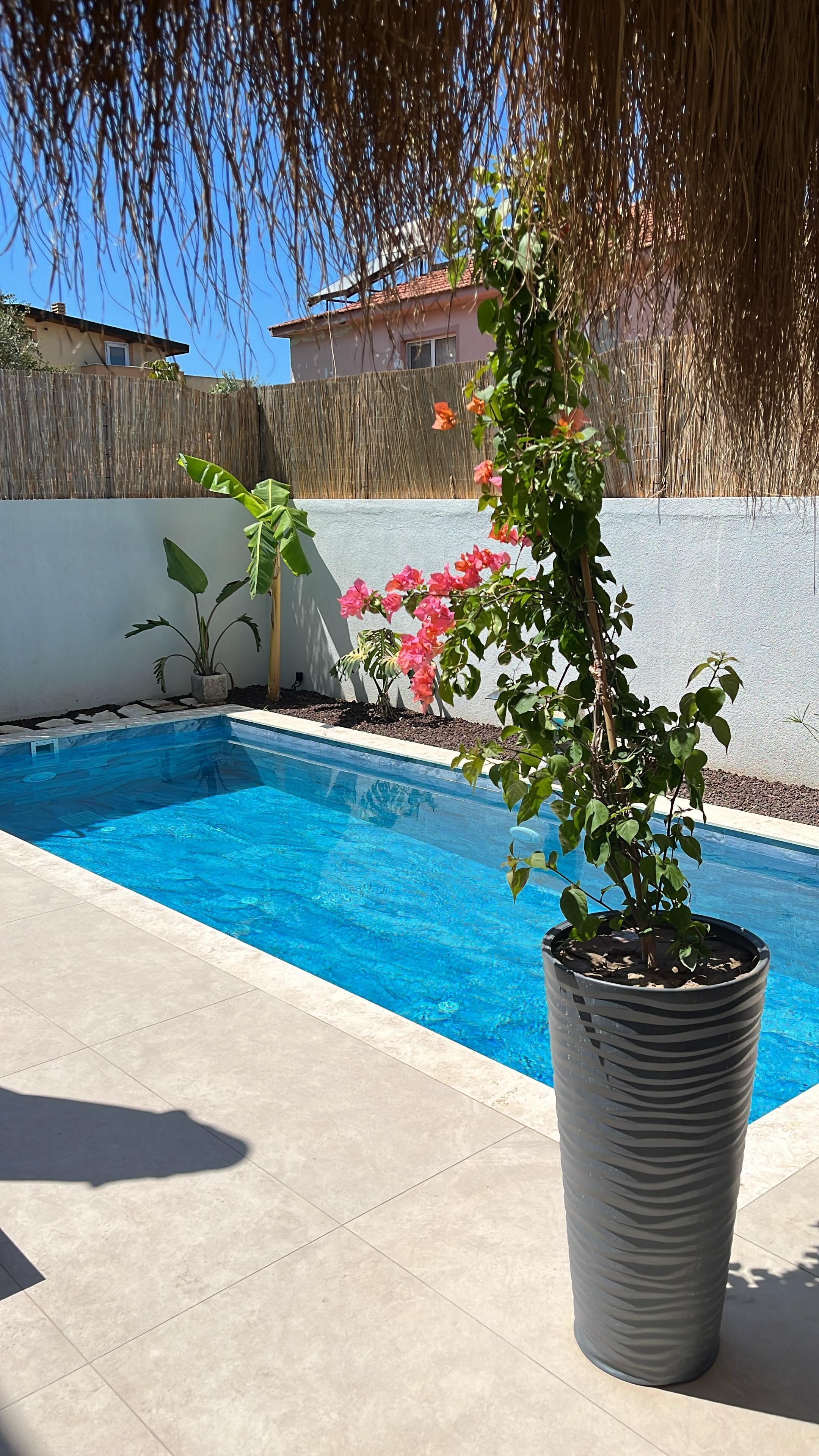 A swimming pool with a tiled deck, surrounded by potted plants and a wooden fence.