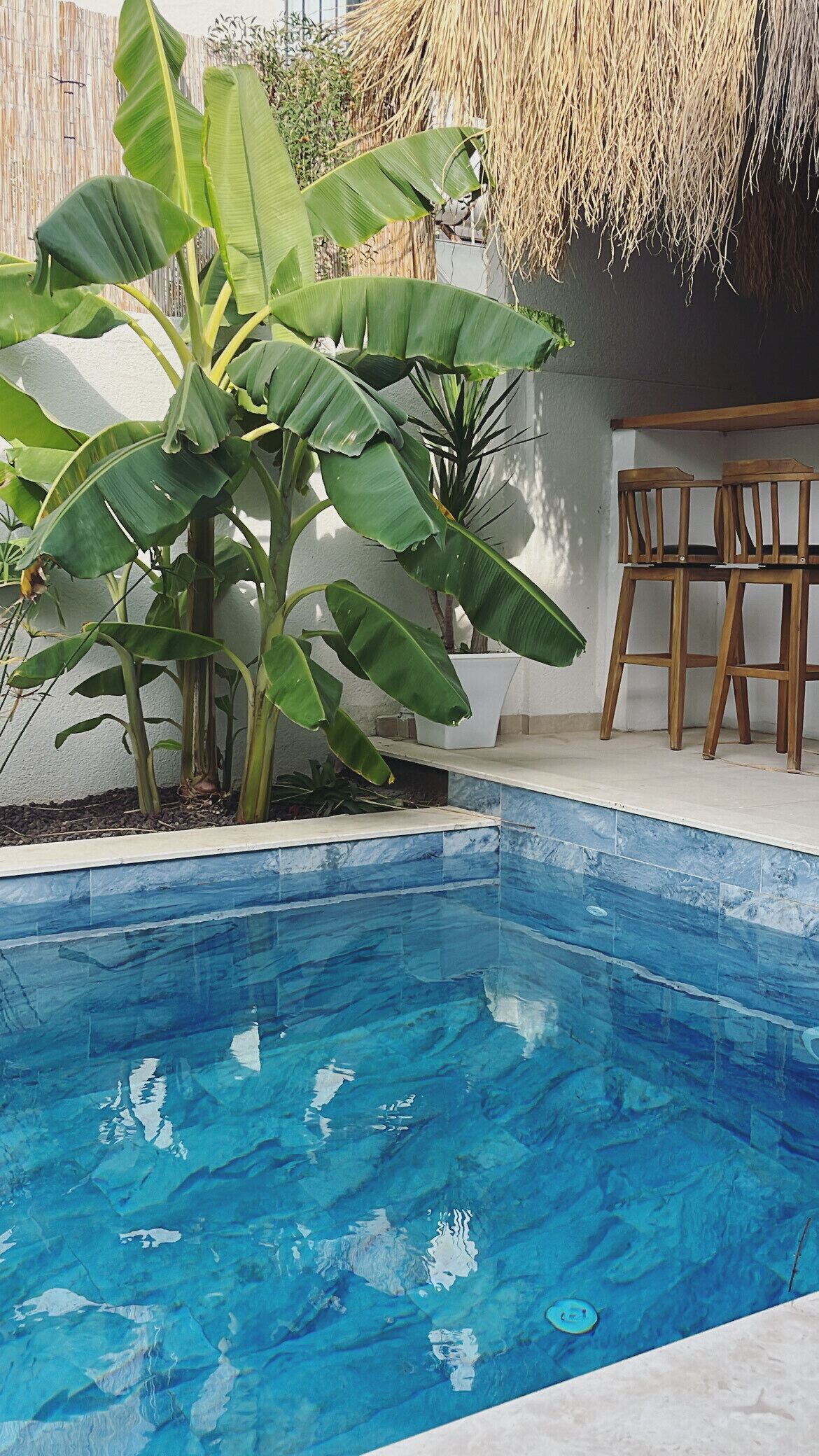 A swimming pool with clear blue water, surrounded by potted plants and wooden chairs.