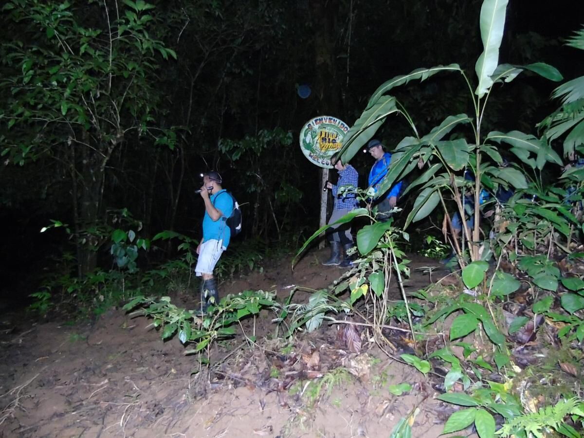 Two people hiking in a forested area at night with a sign in the background.