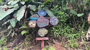 A wooden signpost with multiple directional signs for tours, surrounded by dense foliage. -  Rio Agujitas Ecolodge Farmand Tour (Drake Bay)