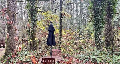 Charming Creekside Studio Near Ferries to Seattle