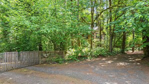 A gravel path leading to a wooden cabin surrounded by dense forest. - Charming Creekside Studio Near Ferries to Seattle (Port Orchard)