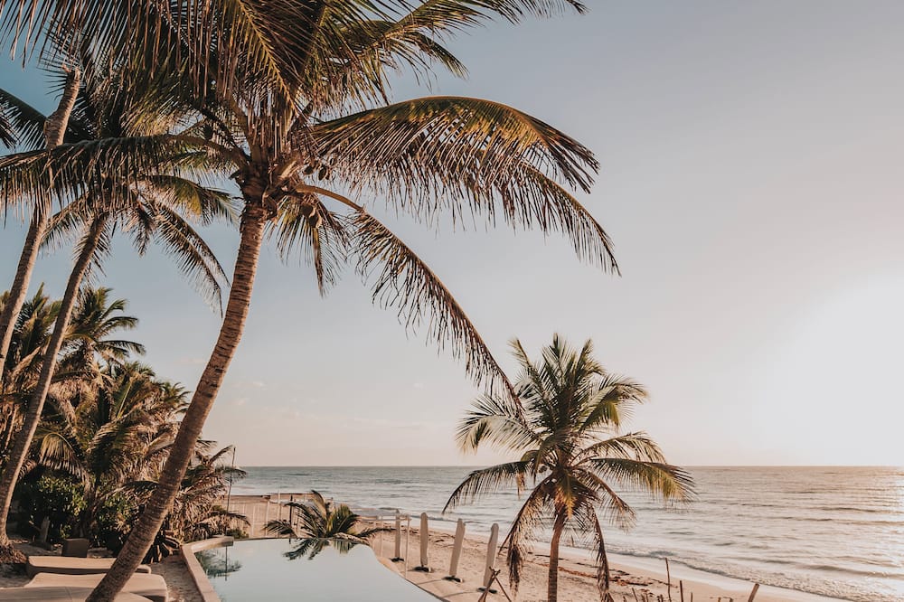Art Village Tulum