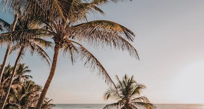 Art Village Tulum